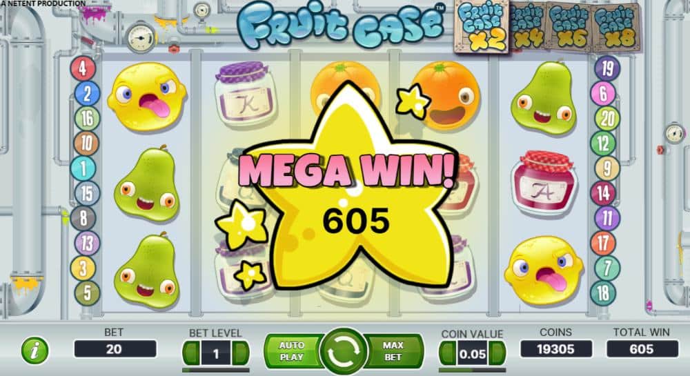 Fruit Case slot features