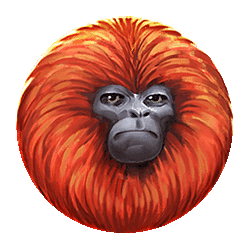 Ikon 5 7 Monkeys