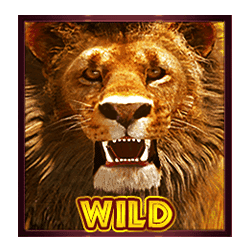 Simbol Wild dari Slot Hot Safari