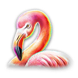 Ikon 6 Great Rhino