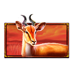 Ikon 5 Safari King