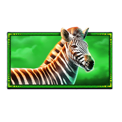 Ikon 4 Safari King