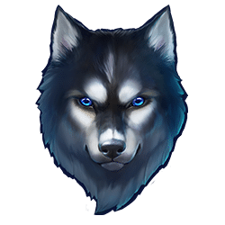 Icon 3 Spinsane