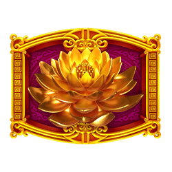 Ikon 15 Golden Beauty