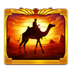 Ikon 11 Pyramid King