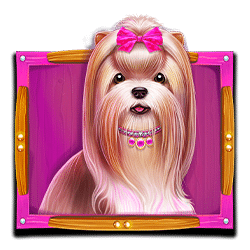 Ikon 2 The Dog House Megaways