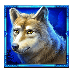 Ikon 4 Mystic Chief