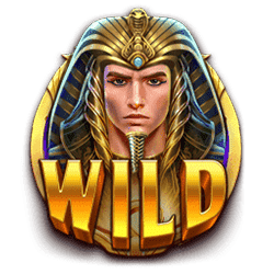 Simbol Wild dari Slot Might of Ra