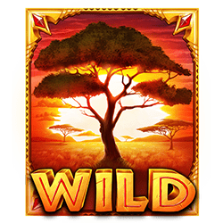 Simbol Wild dari Slot The Ultimate 5