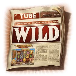 Simbol Wild dari Slot Down the Rails