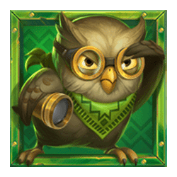 Icon 3 Wild Chapo 2