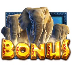 Scatter Slot African Elephant