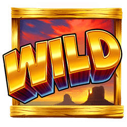 Wild Symbol