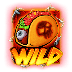 Wild Symbol