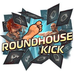 Roundhouse Kick