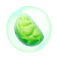 Ikon 7 Fruity Candy