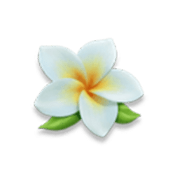 Ikon 7 Hawaiian Tiki