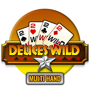 Demo Slot Deuces Wild MH dari PlaynGo